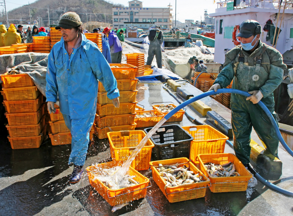 Laborers in South Korea