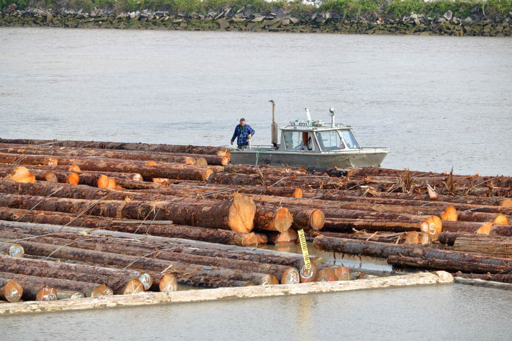 Canadian Lumber Industry
