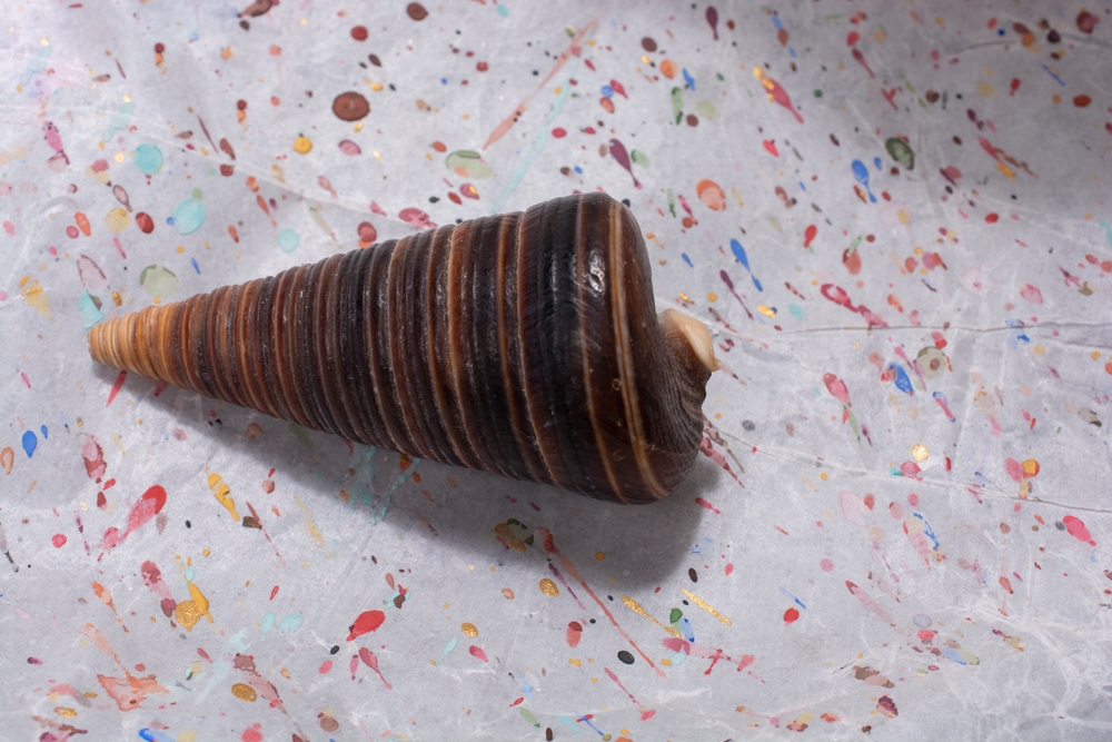 slim cone-shaped 