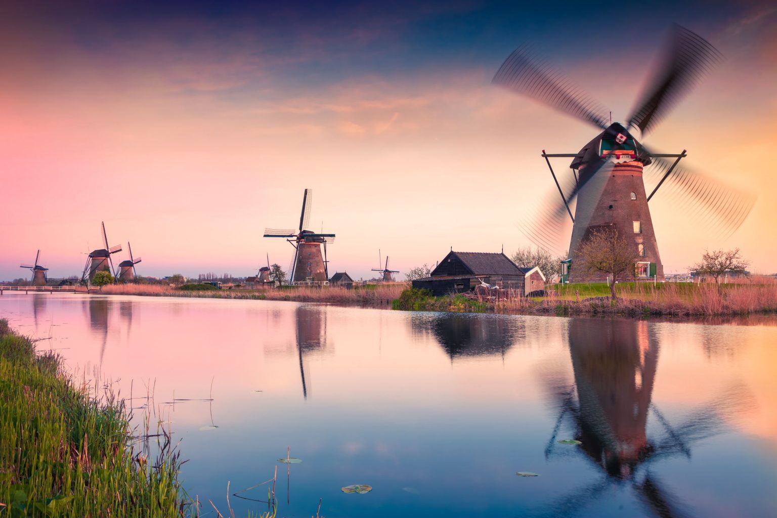 day trips from amsterdam get your guide
