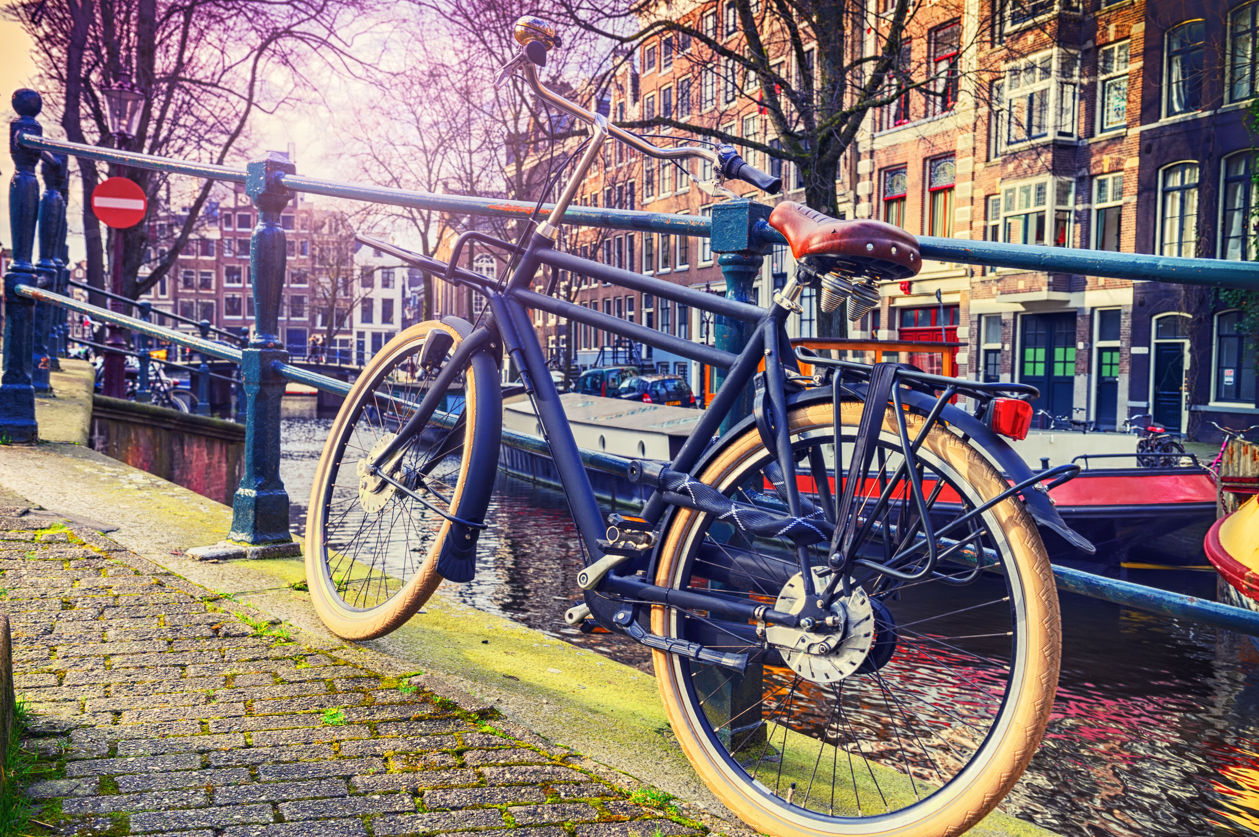 best bike tours amsterdam