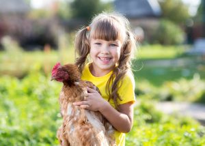 little girl with a hen in the front yard