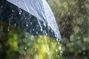 Can I Safely Drink Rainwater?