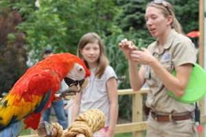 The 10 Biggest Bird Zoos In The World