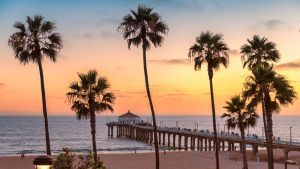 Palm,Trees,And,Pier,On,Manhattan,Beach,At,Sunset,In