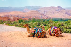 The 13 Must-See Cities to Visit on Your Trip to Morocco