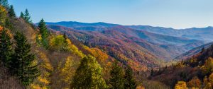 Autumn,Scenics,In,The,Great,Smoky,Mountains,National,Park
