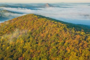 A,View,Of,Forked,Mountain,In,The,Ouachita,National,Forest