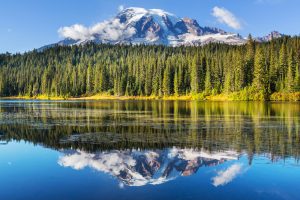 Mount,Rainier,National,Park,,Washington