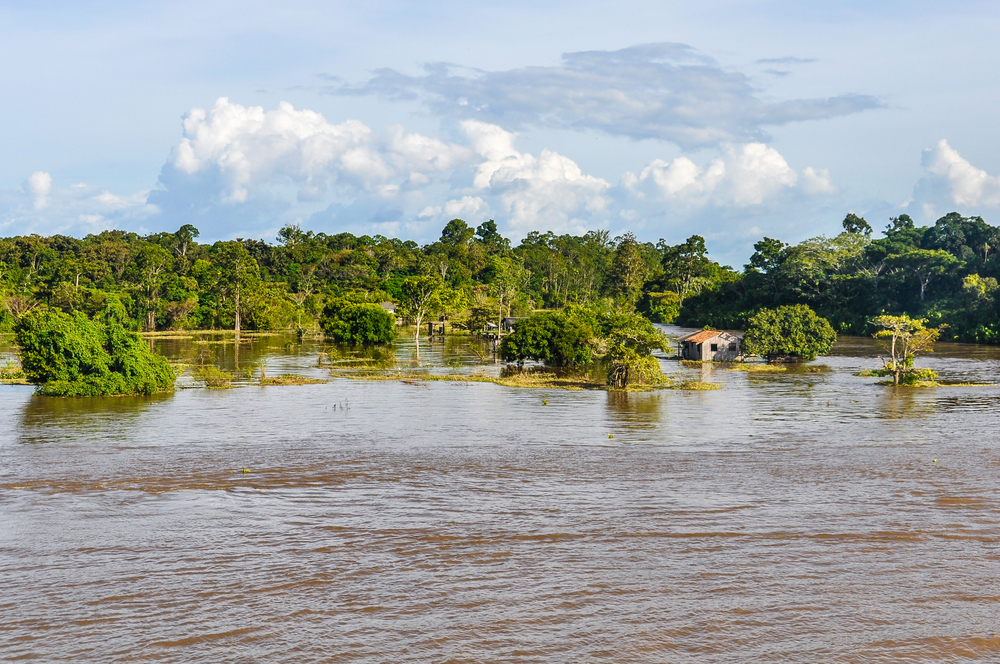 Annual Amazon Flooding