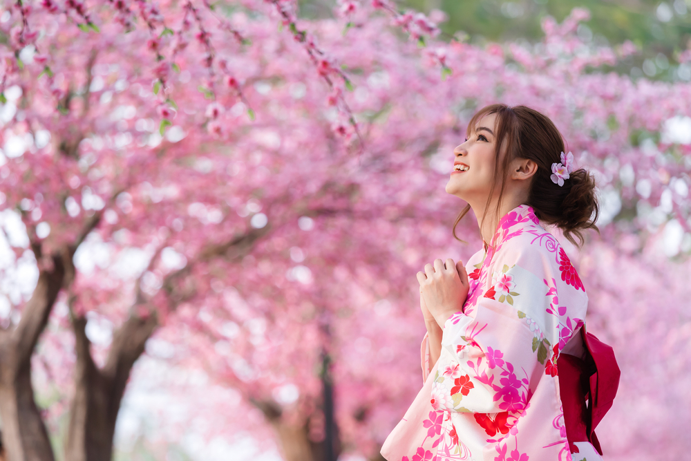 Sakura Season