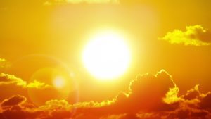 Is the Sun Biotic or Abiotic?