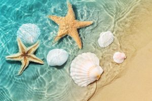 Starfish,And,Seashell,On,The,Summer,Beach,In,Sea,Water.