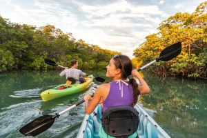 Couple,Kayaking,Together,In,Mangrove,River,Of,The,Keys,,Florida,