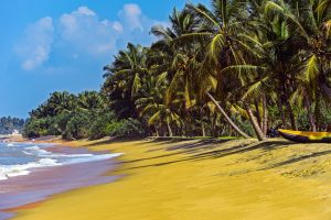 Ocean,Coast,Of,Sri,Lanka,In,The,Tropics