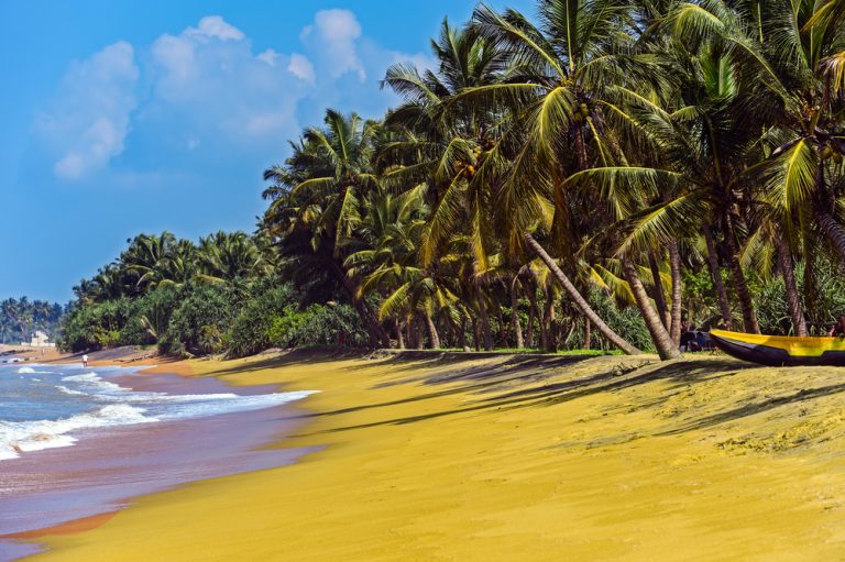 30 Examples of Tropical Countries