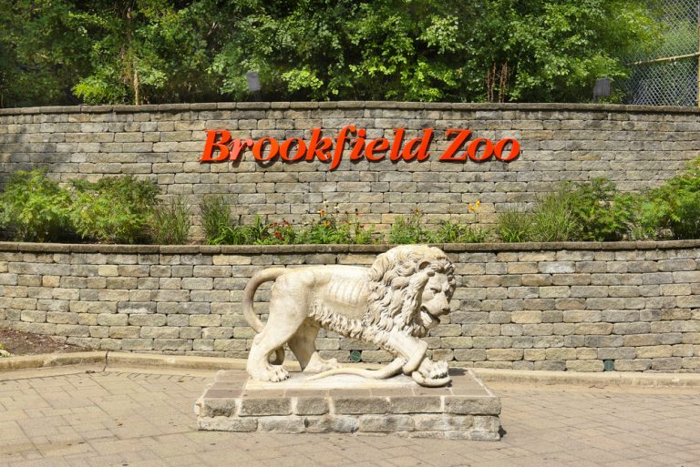 What Are the Free Days at Brookfield Zoo?