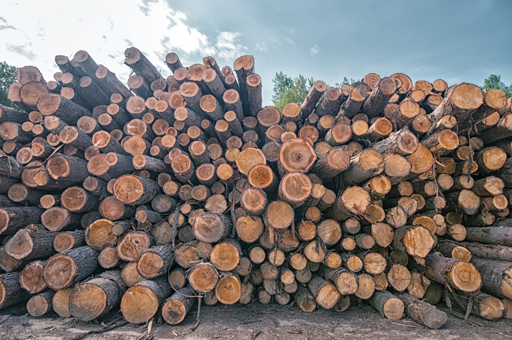 Lumber Cost in Ontario
