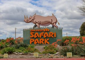 The 30 Largest Zoos in the United States