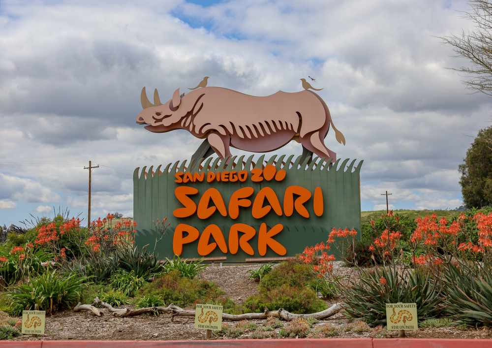 san diego zoo and safari