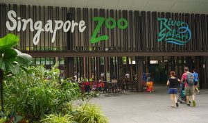 Singapore,-,Jan,11,,2015.,Entrance,To,Singapore,Zoo.,There