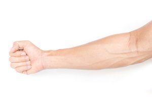 What Is the Largest Bone in Your Forearm?