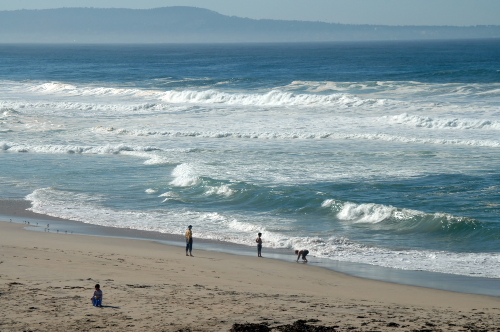 Marina State beach