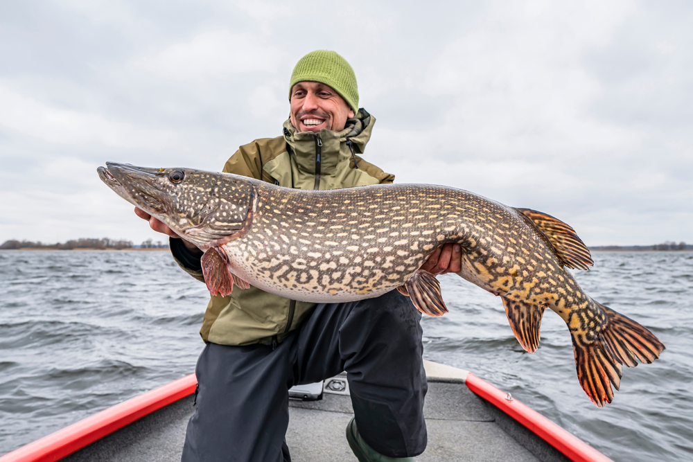 Second-Largest Pike