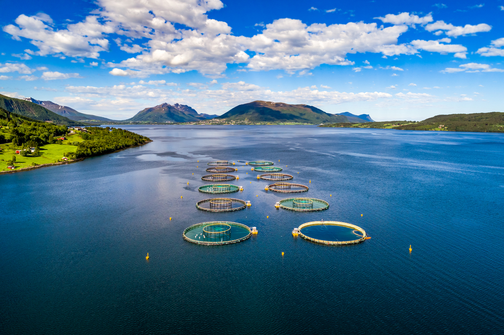 Marine aquaculture 
