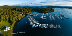 What Is the Best Time to Visit the San Juan Islands?