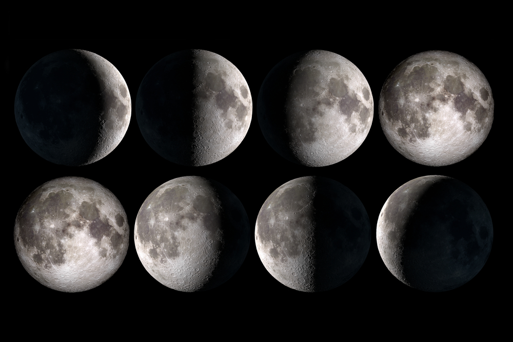  lunar cycles of the calendar
