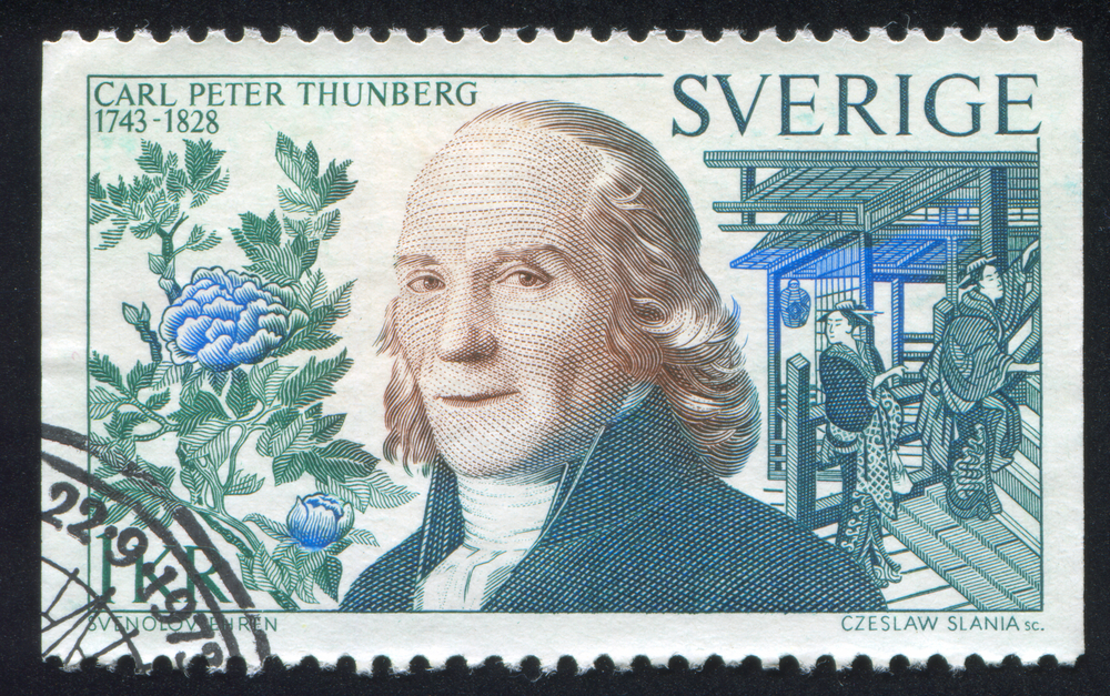 Carl peter Thunberg