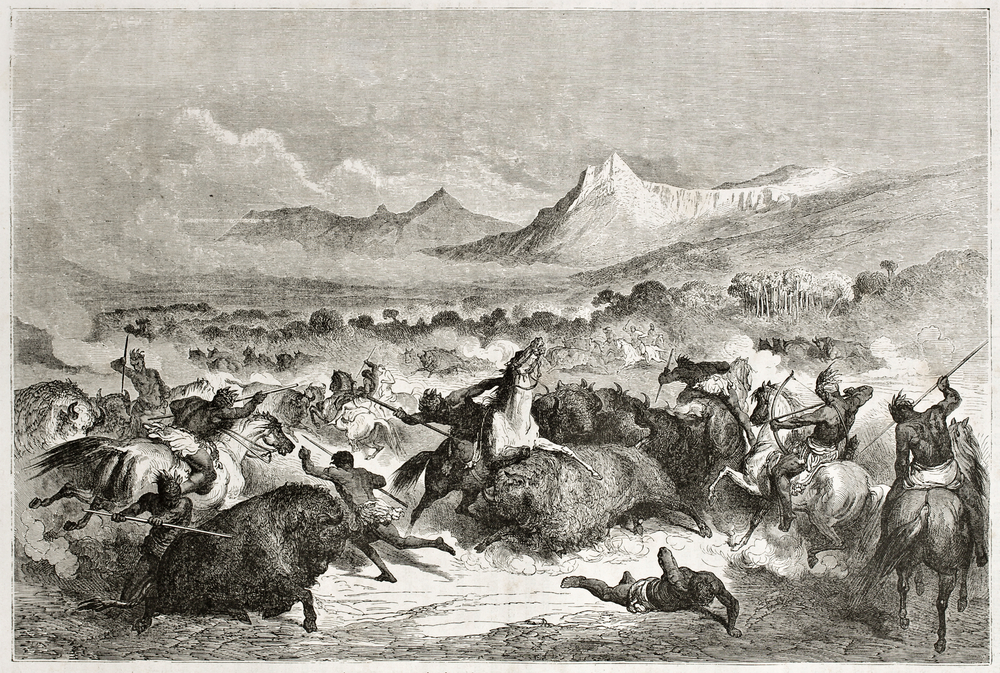 Native Americans buffalo hunting