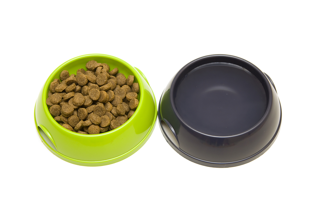 cleaning cat food bowls