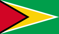Flag of guyana