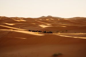 Sahara,Desert,In,Merzouga,Morocco,With,Camel
