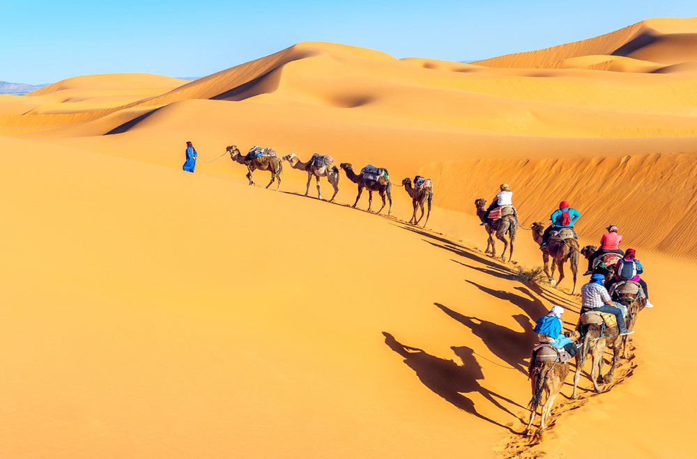 journey through the desert
