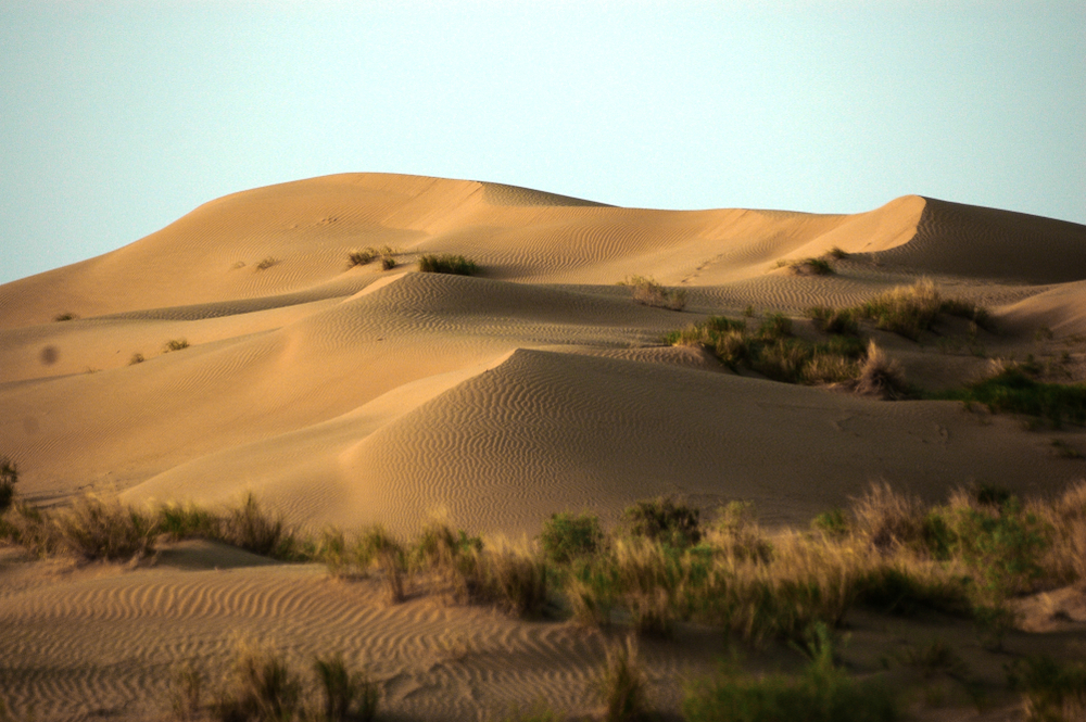 Karakum Desert